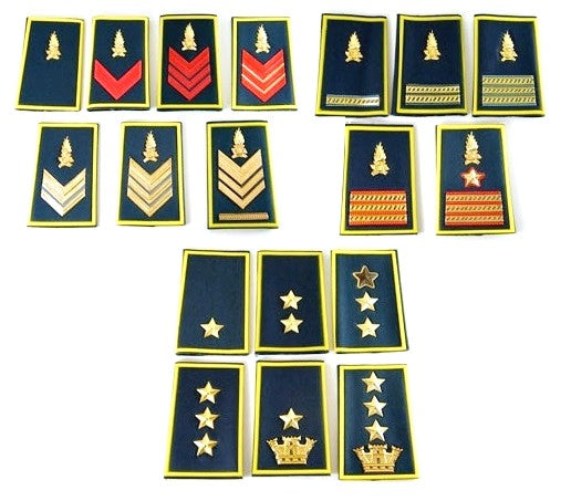 Gradi Metallo Guardia di Finanza