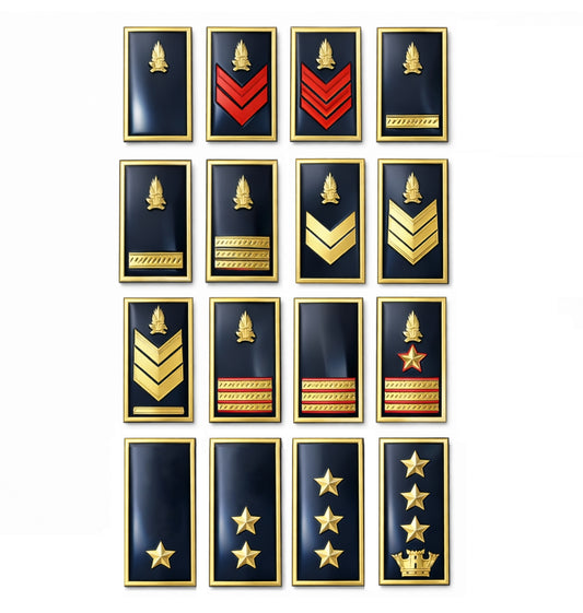 Gradi Metallo Guardia di Finanza
