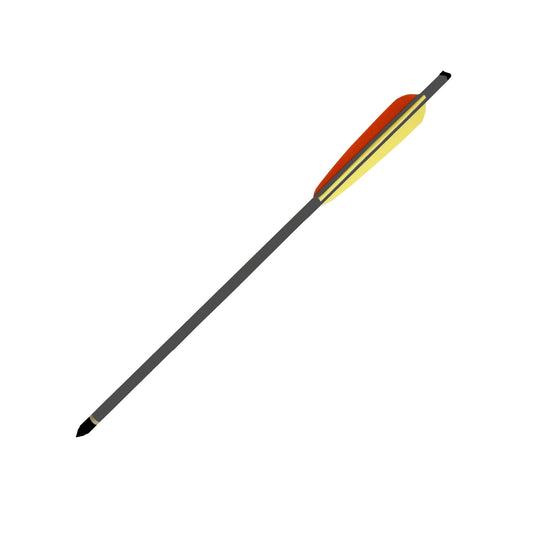 Frecce per Arco Carbonio 30" (D030B)
